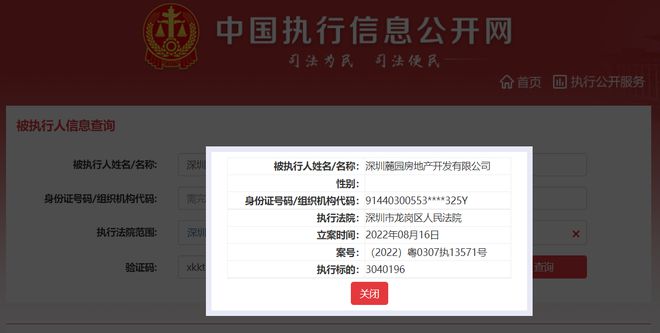 頤安集團旗下麓園地產被列為被執行人，執行標的304萬元，涉及投資興辦實業